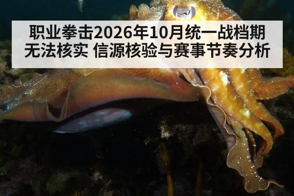 职业拳击2026年10月统一战档期无法核实 信源核验与赛事节奏分析